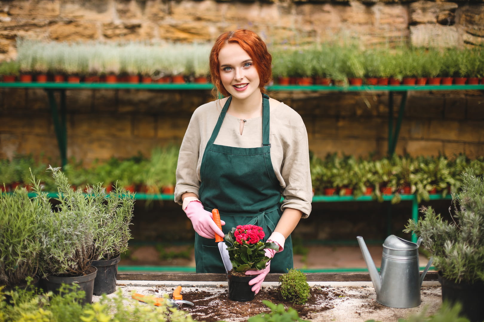 Build a business, not a, not a financial
